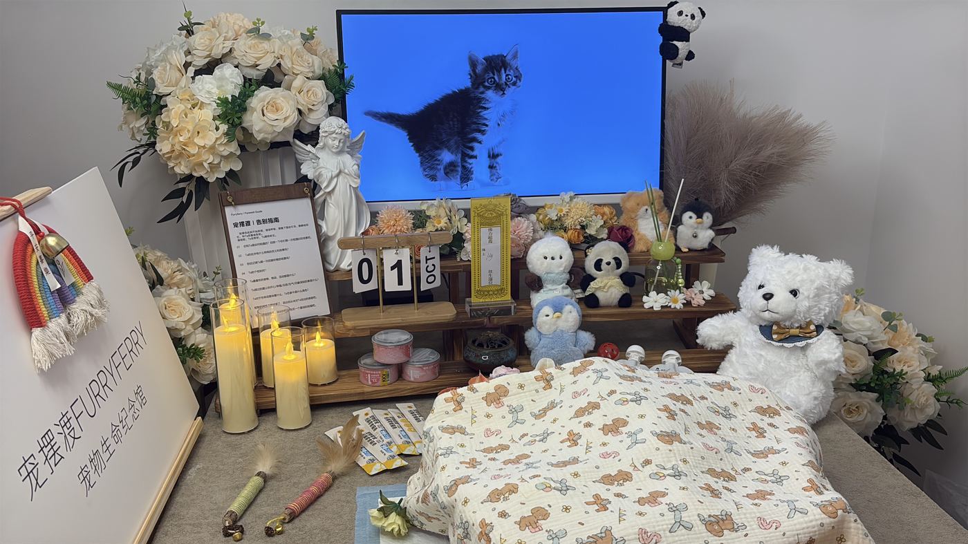 二、费用构成：逐项说明