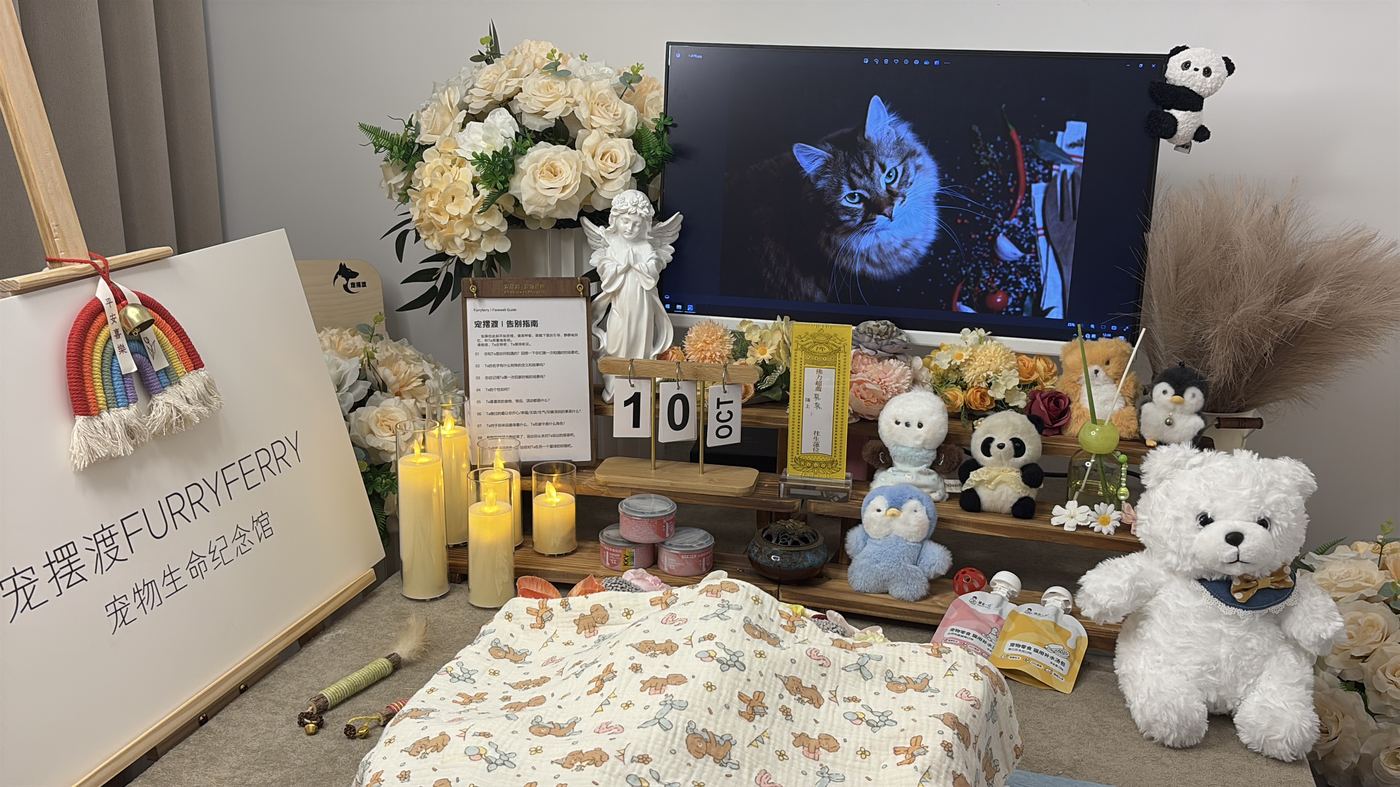 宠物殡葬里的环保问题